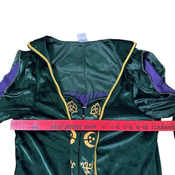 Hocus Pocus Adult Winifred Sanderson Costume Spirit Halloween Women’s Size XL - Picture 6 of 7